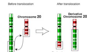 Строение хромосом Определить набор половых хромосом в каждой клетке